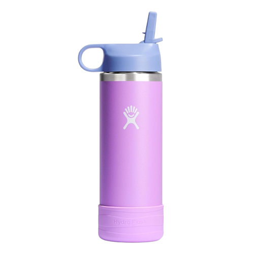 Hydro Flask 18 Oz Stainless Steel Wide Mouth Water Bottle - Anemone