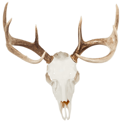 Mountain Mike's Reproductions Skull Master Antler Kit