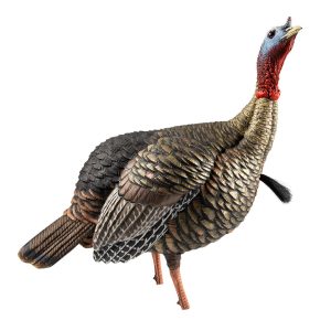 AVIAN-X HDR JAKE DECOY