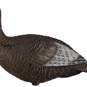 THUNDER CHICK UPRIGHT DECOY