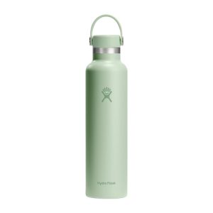 Hydro Flask Water Bottle - Leakproof in 24 Oz Aloe Green
